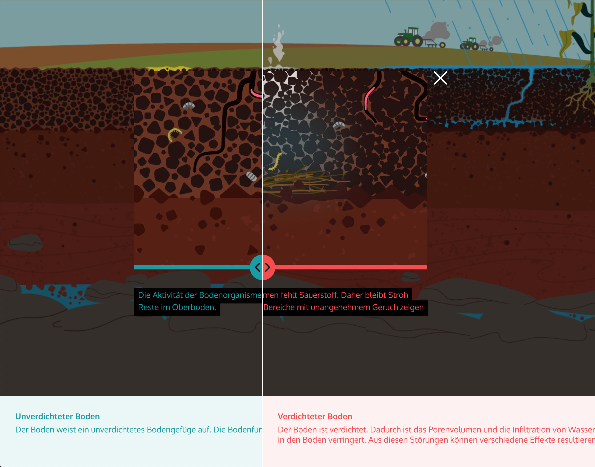 ../images/soil_assist_5.jpg